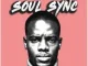 Nestro DaProducer – Soul Sync